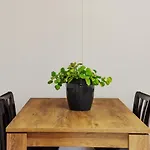 Four Seasons Lefkimmi