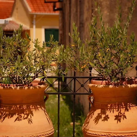 Four Seasons Апартаменты *