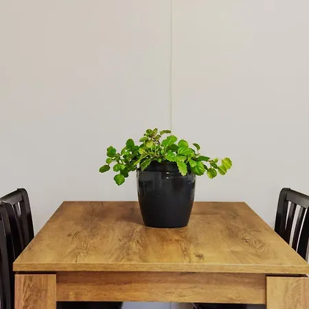 Four Seasons Lefkímmi